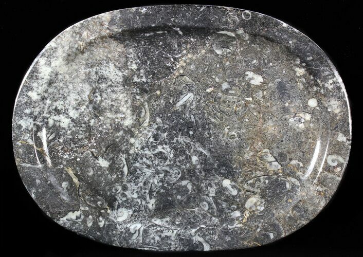 / Fossil Orthoceras & Goniatite Plate - Stoneware #40394
